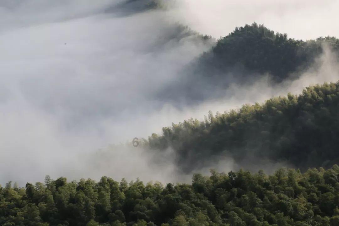探寻不想上班了好想谈一场你妈妈拿着一千万让我离开你的恋爱怎么回?,解锁更多精彩问题答案